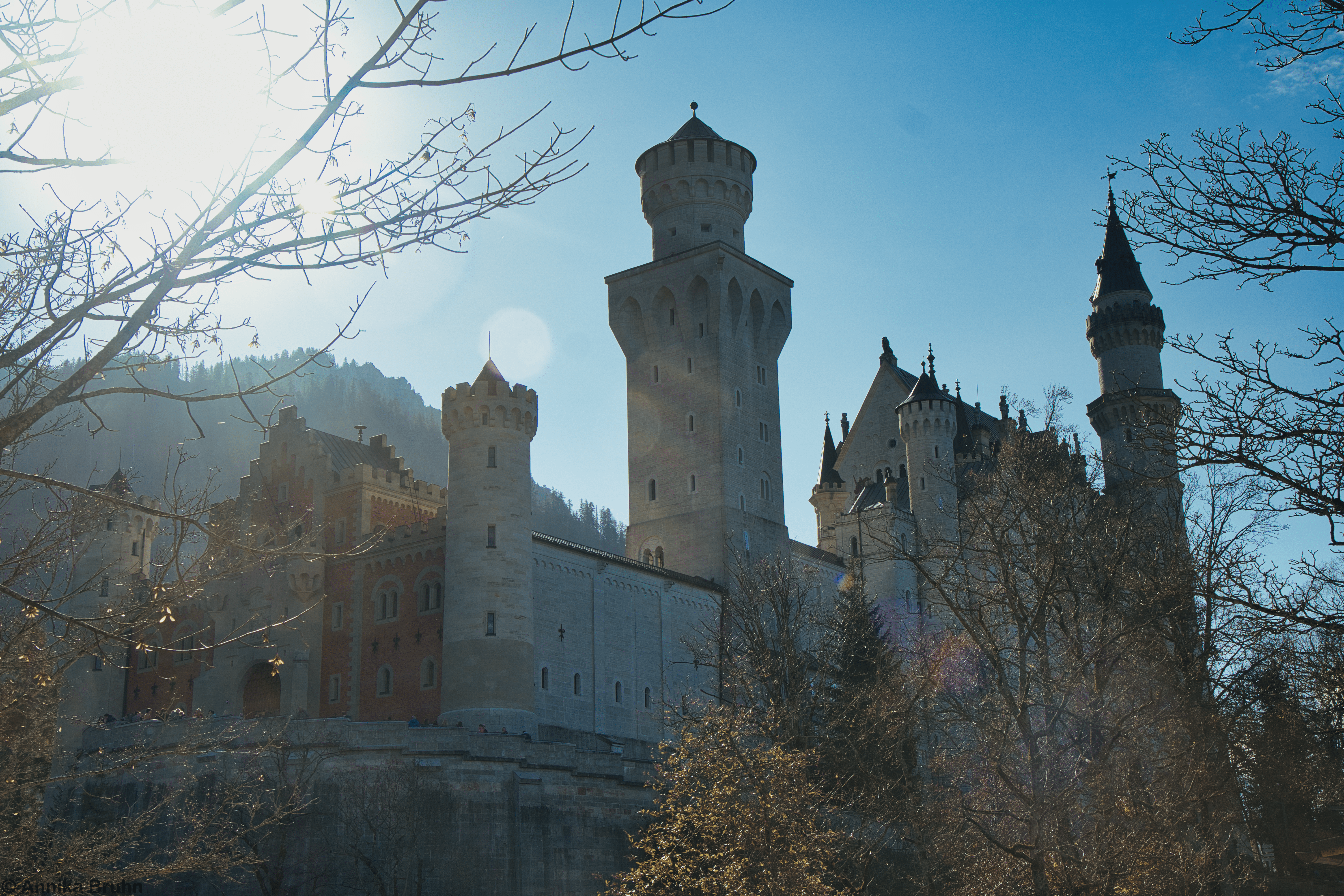 Schloss Neuschwanstein.1